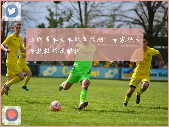 法网男单女单冠军预测:专家观点与数据深度解析