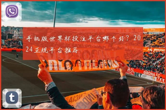 手机版世界杯投注平台哪个好？2024正规平台推荐