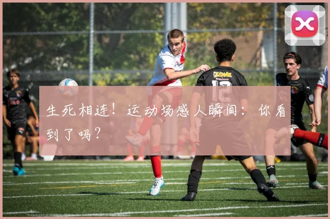 生死相连!运动场感人瞬间:你看到了吗?